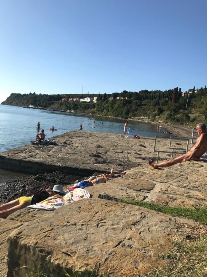 Istrska Hisa Centurium Villa Marezige Eksteriør billede