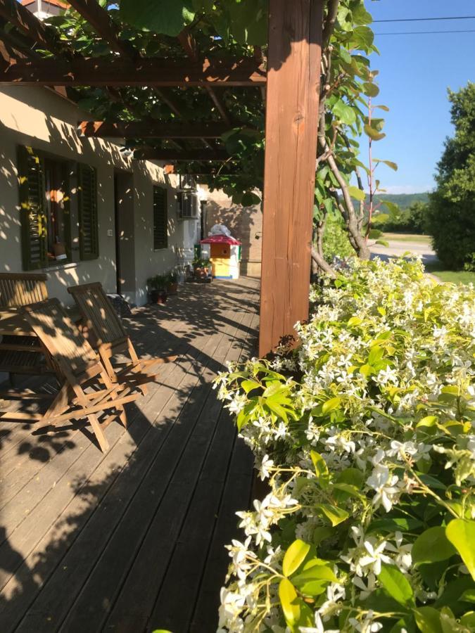 Istrska Hisa Centurium Villa Marezige Eksteriør billede