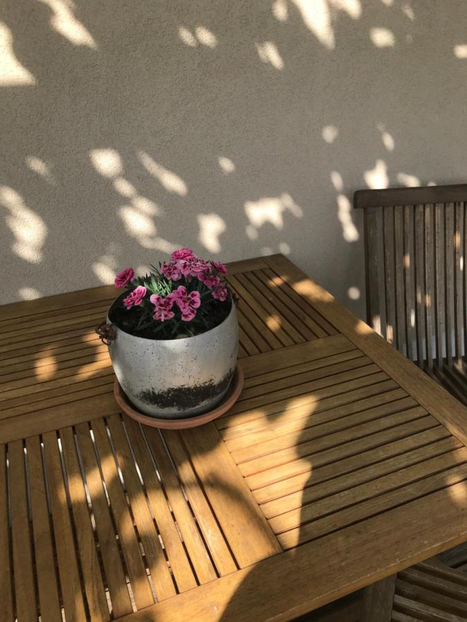 Istrska Hisa Centurium Villa Marezige Eksteriør billede